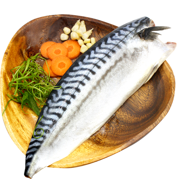挪威鯖魚20片